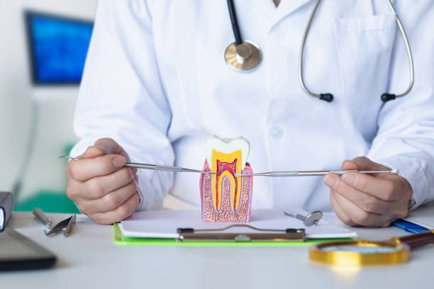 Best Chipped Tooth Repair Near Me  in Mount Vernon, IA